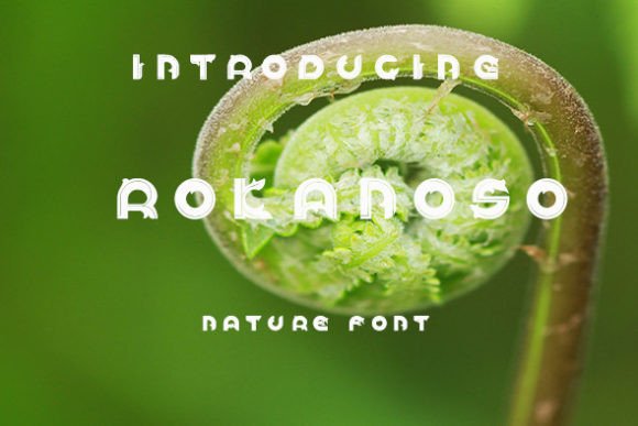 Rokanoso Display Font for Organic Branding and Digital Warmth